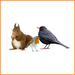 Tuin - Dierenspeeltuin