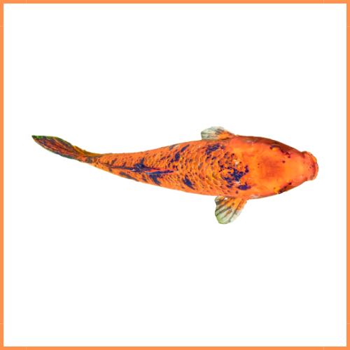 Vijver - Dierenspeeltuin