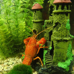 aquarium decoratie kopen