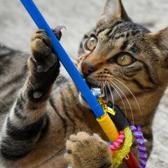 Collection image for: Speelgoed voor katten