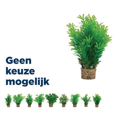 Zolux Ornament Pastic Plant Op Stenen Neutraal Assorti