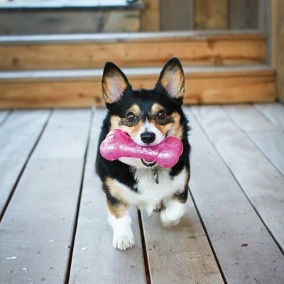 Kong Squeezz Krakend Bot Assorti