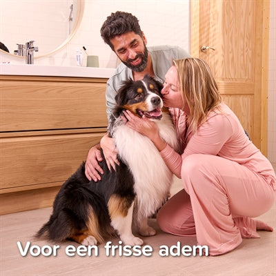 Beaphar Tandpasta En Borstel Combi-Pack