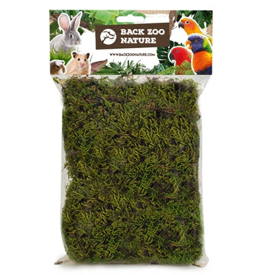 Back Zoo Nature Forest Moss