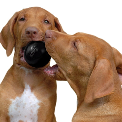 Kong Extreme Rubber Bal Zwart