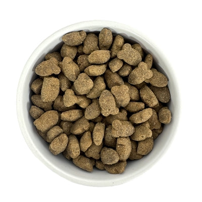 Budget Premium Skin Control Fish hondenvoer met vis en zalmolie voor een gezonde huid en glanzende vacht